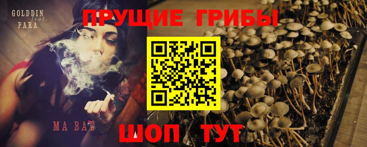 Псилоцибиновые грибы прущие грибы Волгодонск