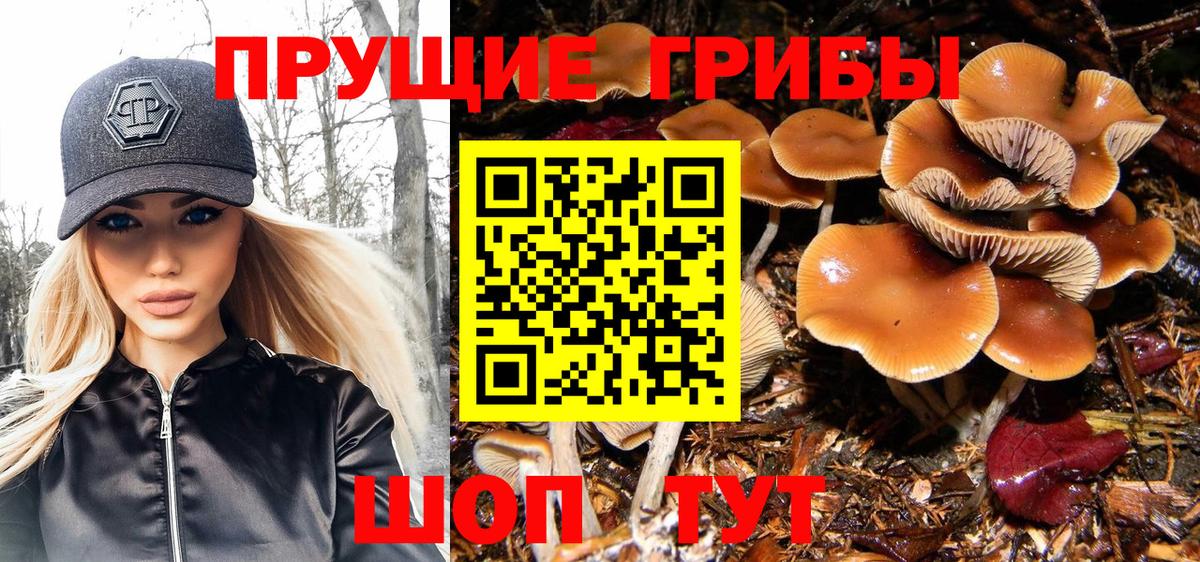 Псилоцибиновые грибы MAGIC MUSHROOMS  Вход с VPN  Волгодонск 